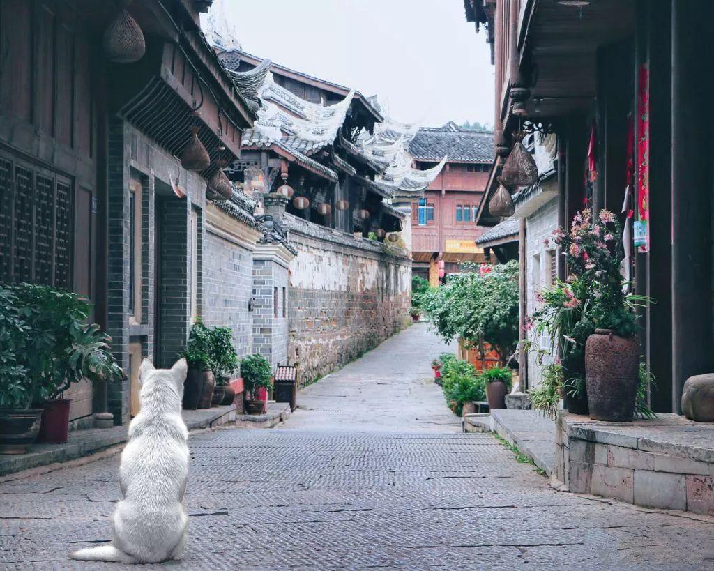 专业知识星球平台人都是虚伪的吗,深度分享独家干货